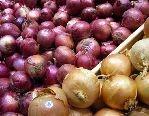 Onions in Zehrs.
