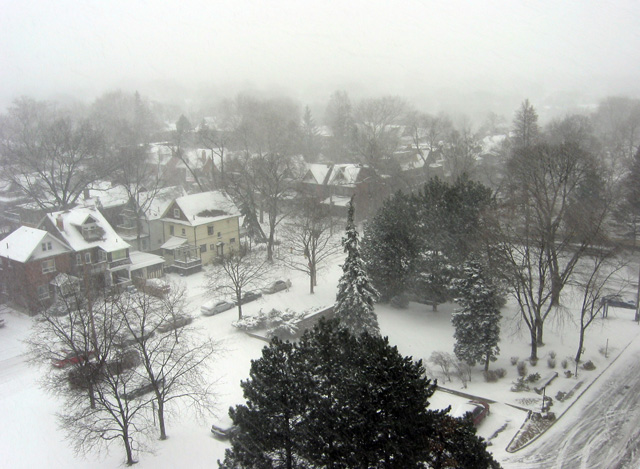 A wintery scene from my balcony.