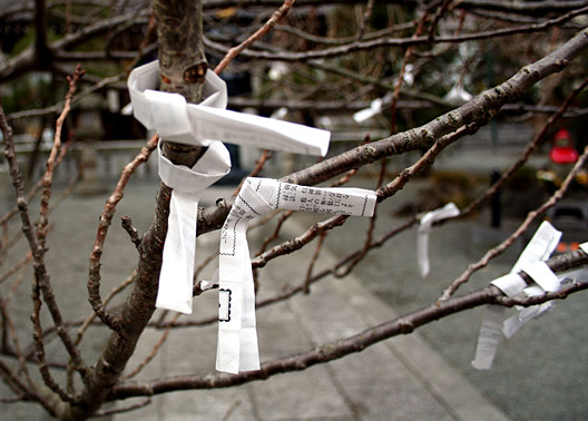 A few paper wishes tied to a tree.