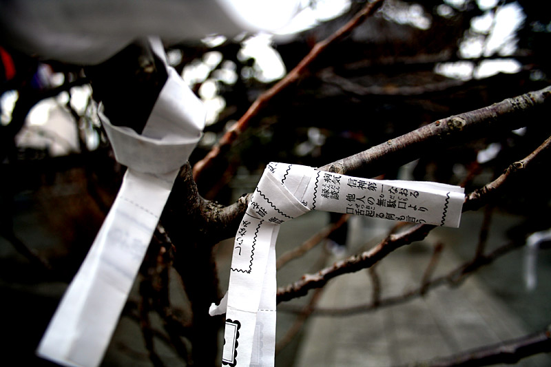 A paper wish tied to a tree.
