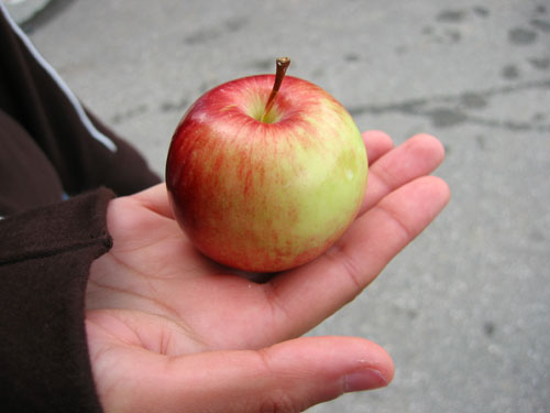 Shima holding an apple.