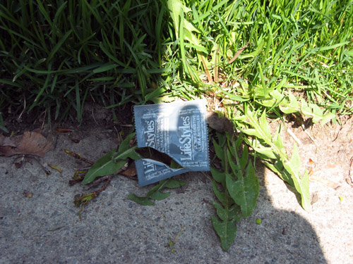 A Condom at Yonge and Eglinton.