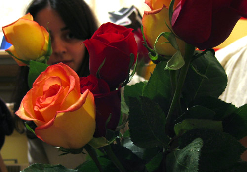 Some red and yellow roses I bought for Shima.