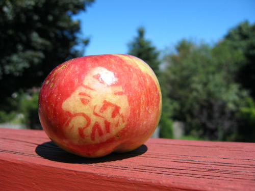 An apple Shima's dad made me.