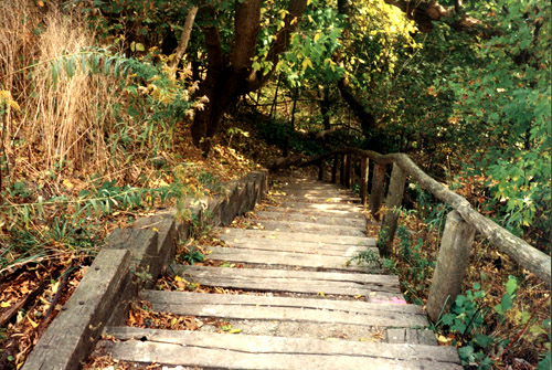 Steps leading into High Park.