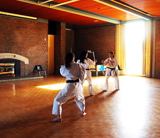 Shima, Nina, and Sanaz, practising a Kata.