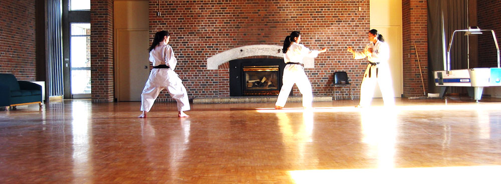 Shima, Nina, and Sanaz practising a Kata.