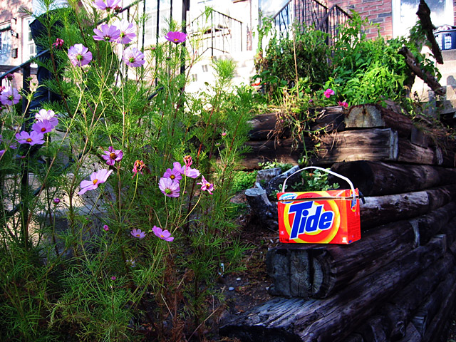 A box of Tide infront of Shima's house.