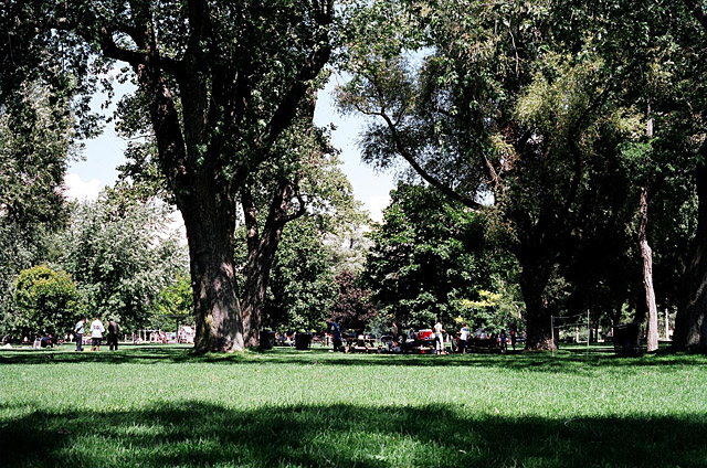 The grass is green and meant to be walked on at Centre Island.